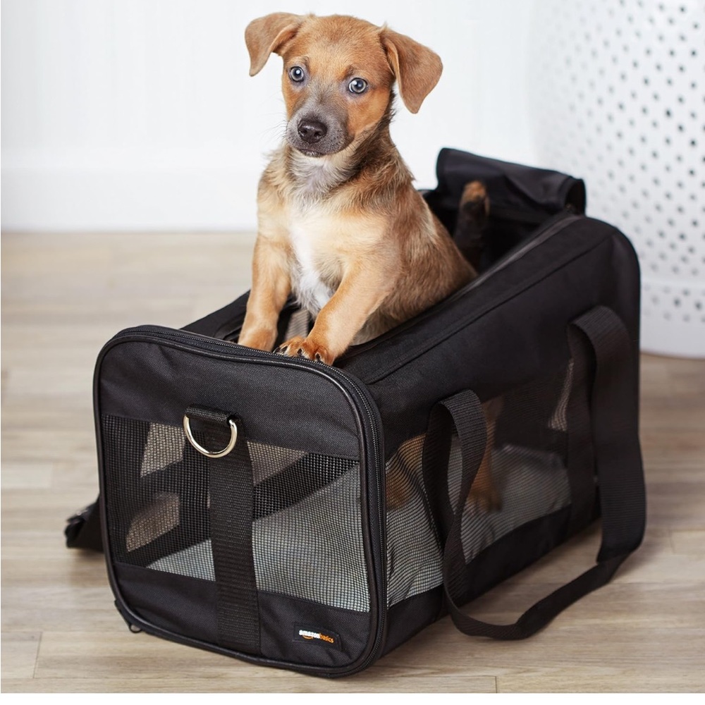 Amazon Basics Soft-Sided Mesh Pet Travel Carrier for Dog, Cat, Medium